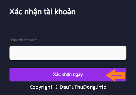 Xác nhận tài khoản Raiden