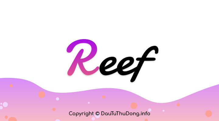 Reef Finance là gì
