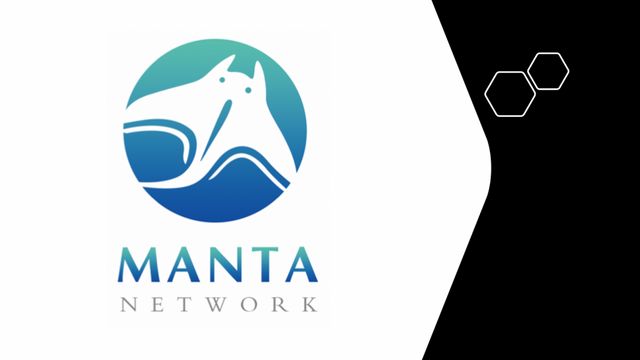 Manta Network là gì