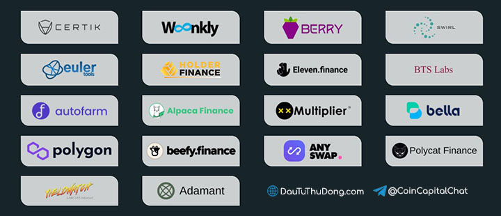Wault Finance Partners