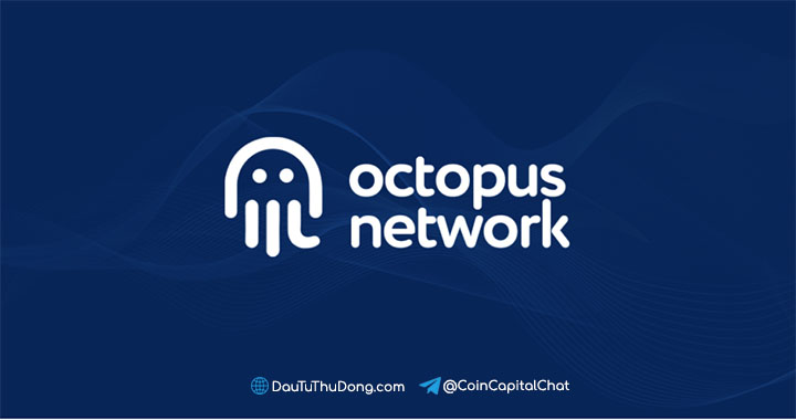 Octopus Network là gì