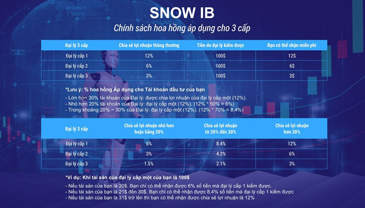 Snow AI IB