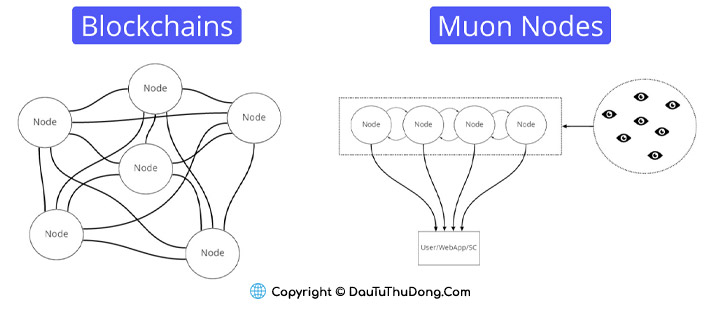 Muon Network hoạt động như thế nào? 