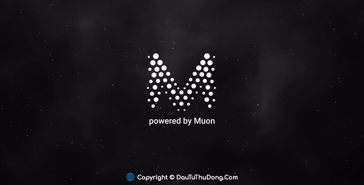 Muon Network là gì?